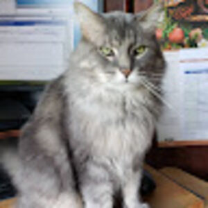 Meet your Posher, Shawn